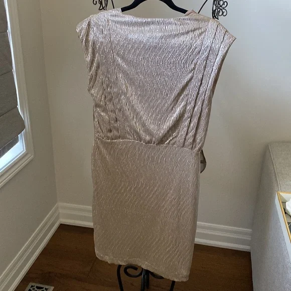 Suncoo metallic fitted dress. Brand new. - Picture 5 of 6